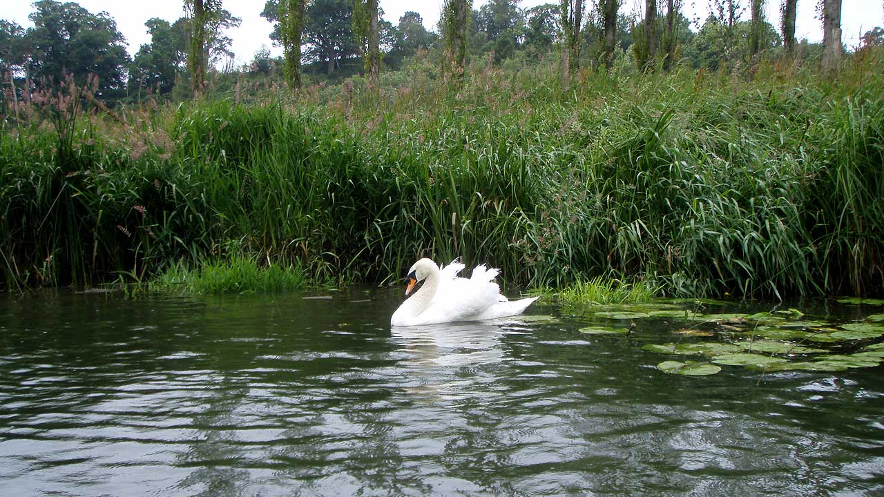 kayaking river arun upper sussex